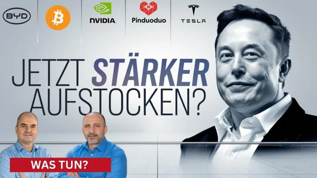 Jetzt Diamond‑Hands zeigen? Tesla | Bitcoin | BYD | PDD | NVIDIA