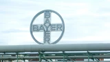 Bayer: Bayer: Positive Daten – Aktie legt zu