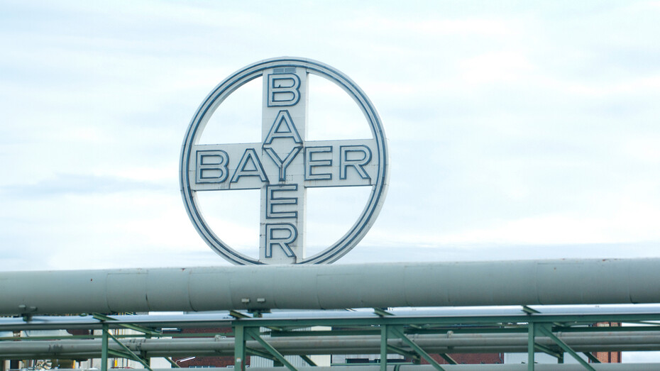  Bayer kassiert Nackenschlag (Foto: NurPhoto | Ying Tang/picture alliance/dpa)