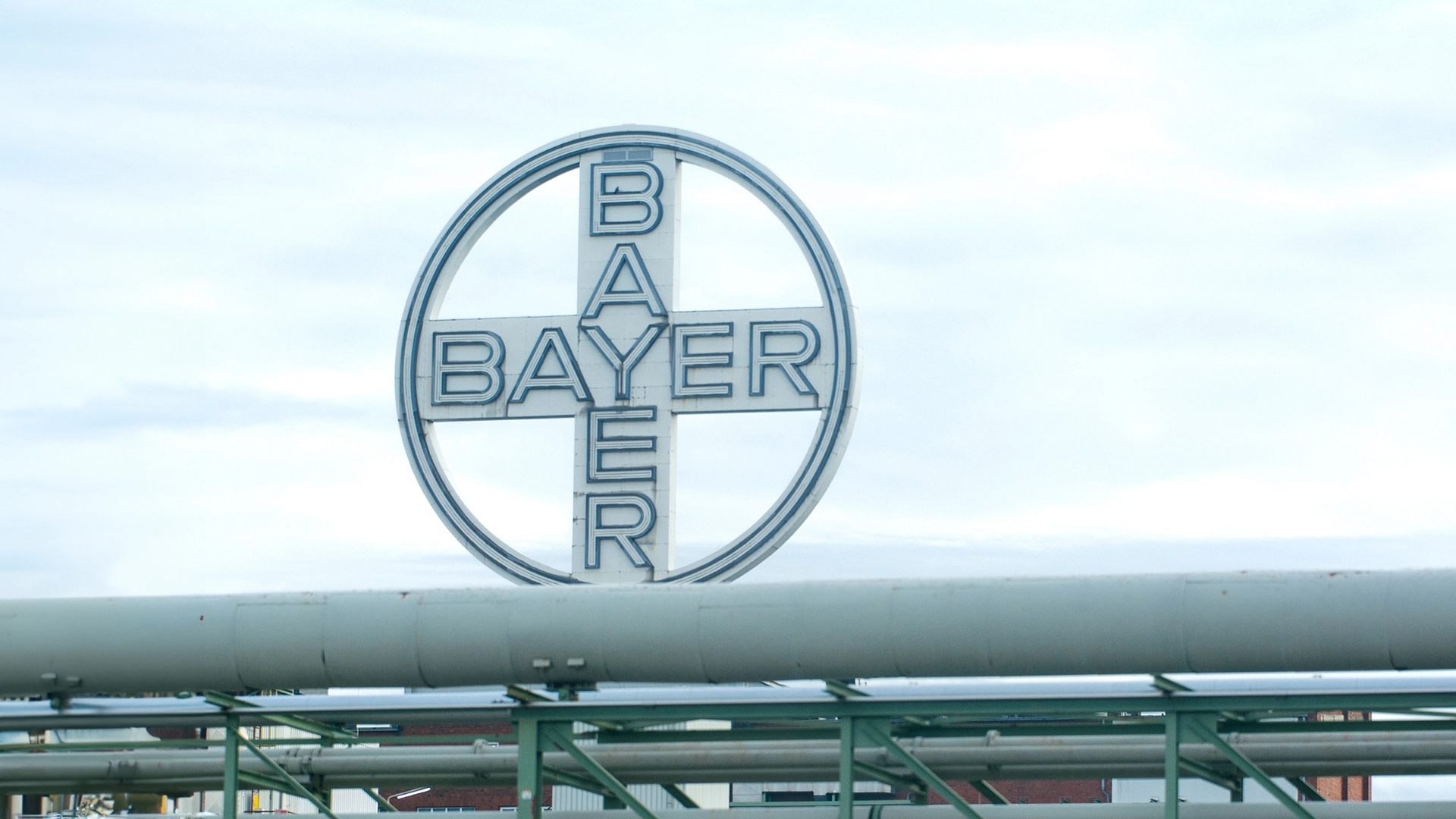 Bayer&#8209;Aktie: Das sorgt für etwas Luft zum Atmen (Foto: NurPhoto | Ying Tang/picture alliance/dpa)