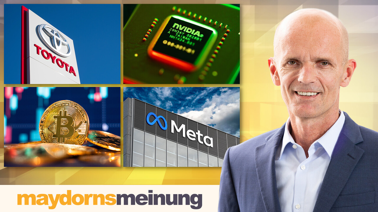 maydornsmeinung: Palantir, Nvidia, Meta, Tesla, BYD, Enphase Energy, SolarEdge, SMA Solar, Nel, TeamViewer