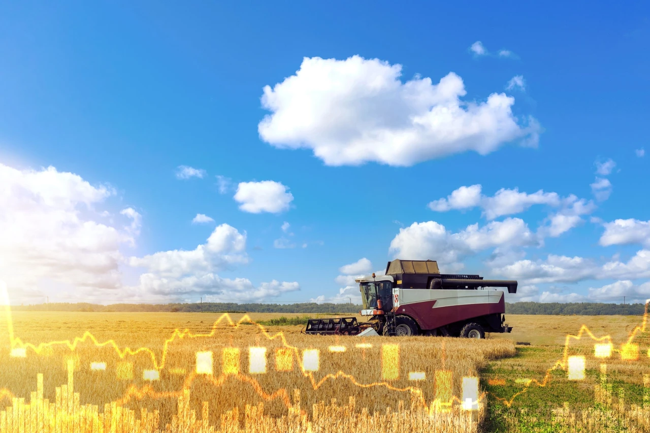 Die Felder sind bestellt: Künstliche Intelligenz treibt die Erträge