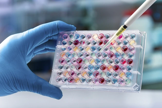 AKTIONÄR‑Empfehlung Synlab: PCR‑Tests im Fokus – Aktie im Aufwind