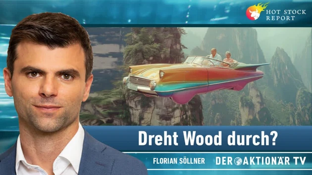 Söllner: Nvidia: Irre Prognose! Wood verrückt? Super Micro, Buffett, Xiaomi, Tesla, Bitcoin