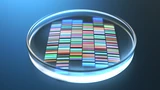 CRISPR Therapeutics: AKTIONÄR‑Depotwerte CRISPR Therapeutics und Vertex: Gen‑Schere‑Therapie bald auch in der EU