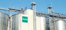 Expansion beschert Baywa ein Rekordergebnis &#8209; Höhere Dividende (Foto: Börsenmedien AG)