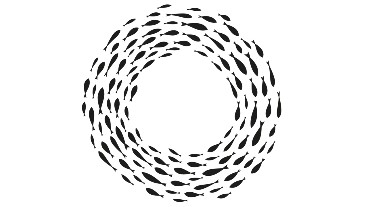 Mowi & Co: Alle Augen auf Norwegen