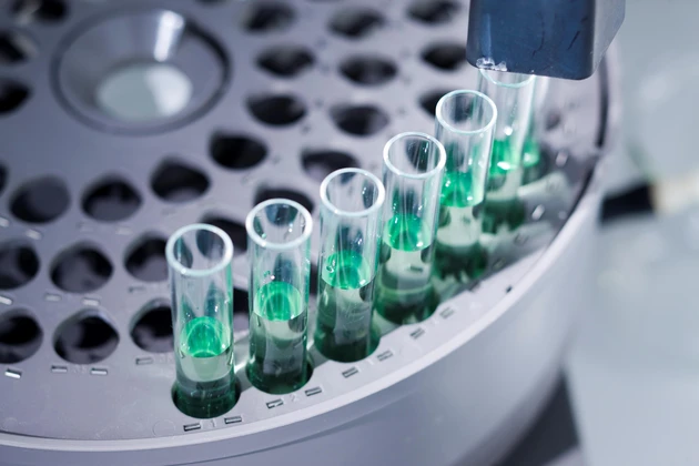 AKTIONÄR‑Hot‑Stock Biotest: Wichtiger Meilenstein – Aktie gewinnt 47 Prozent seit Empfehlung