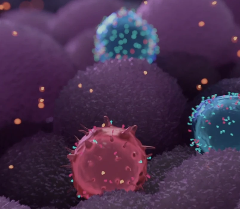 Nektar Therapeutics: 