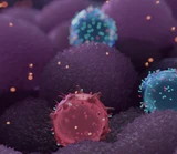 Nektar Therapeutics: Nektar Therapeutics: 