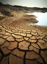 Alibaba: Alibaba: Das ist ein Boden!