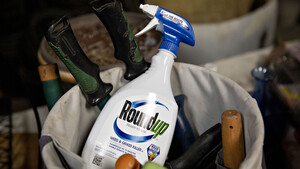 Bayer: Dauerthema Glyphosat  / Foto: Bloomberg/Getty Images